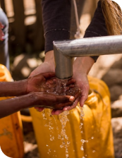 Hygiene Course